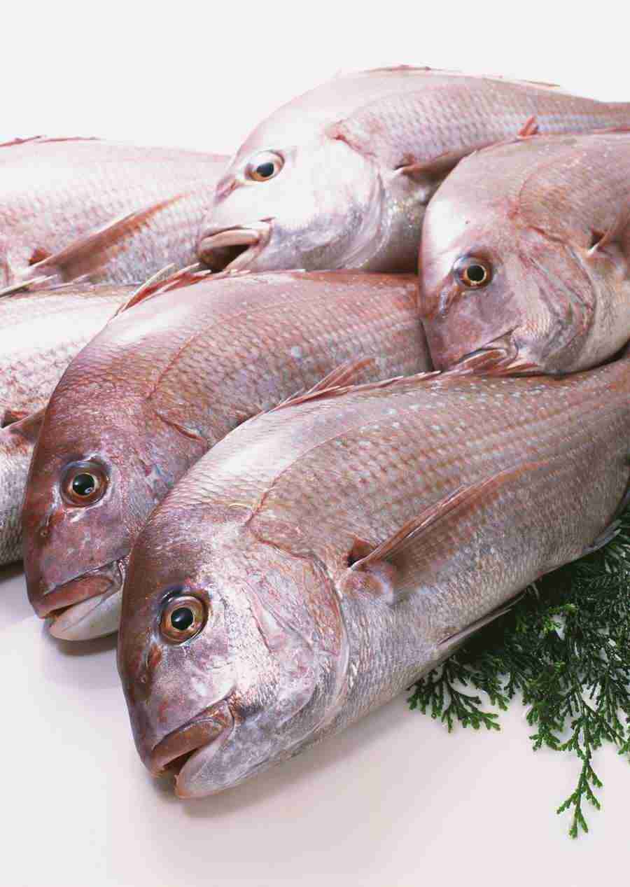 Seasonal Fish and Shellfis - Datacraft Sozaijiten  ></a>
<script language=JavaScript> 
  var txt = 