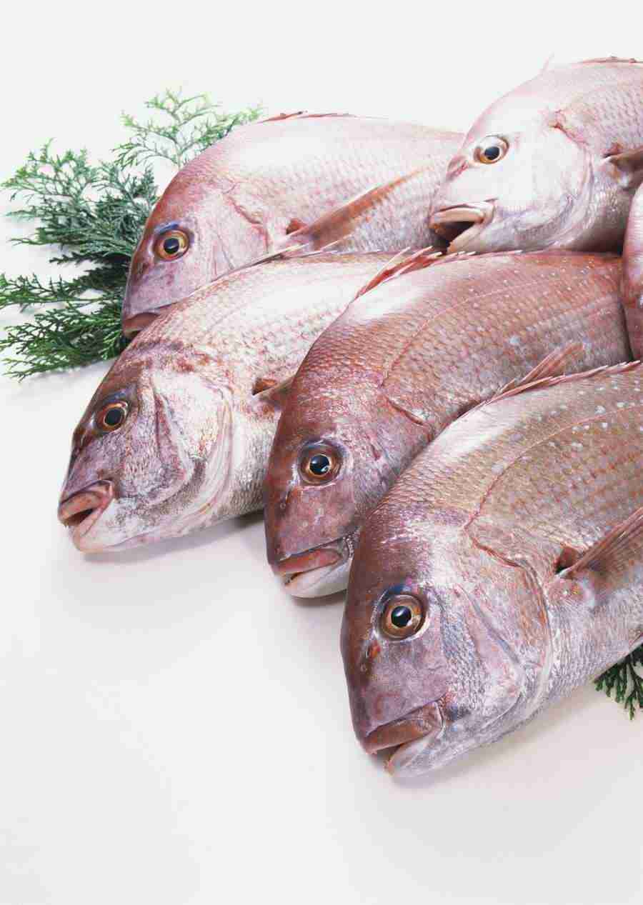 Seasonal Fish and Shellfis - Datacraft Sozaijiten  ></a>
<script language=JavaScript> 
  var txt = 