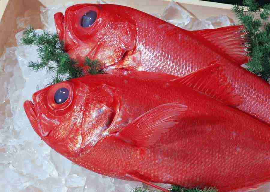 Seasonal Fish and Shellfis - Datacraft Sozaijiten  ></a>
<script language=JavaScript> 
  var txt = 