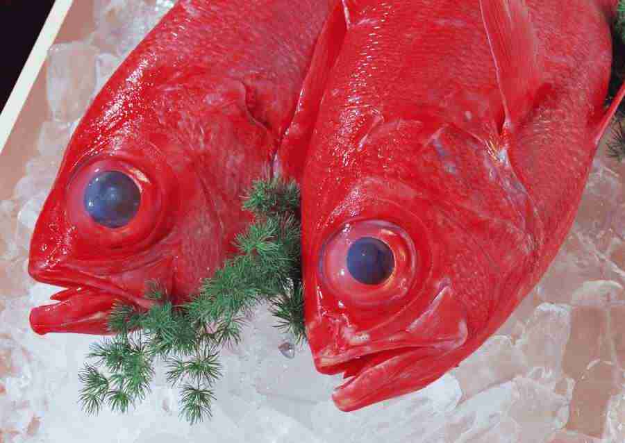 Seasonal Fish and Shellfis - Datacraft Sozaijiten  ></a>
<script language=JavaScript> 
  var txt = 