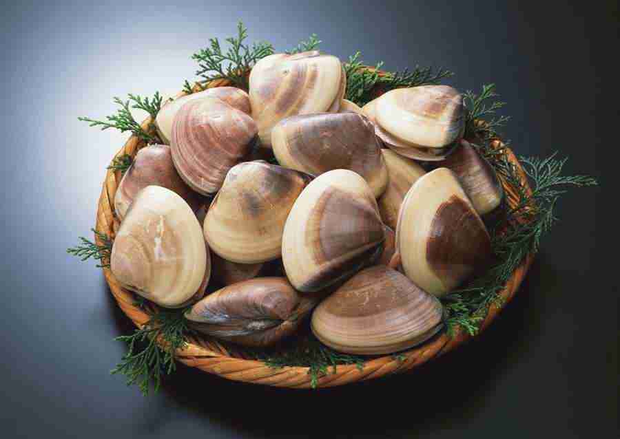 Seasonal Fish and Shellfis - Datacraft Sozaijiten  ></a>
<script language=JavaScript> 
  var txt = 