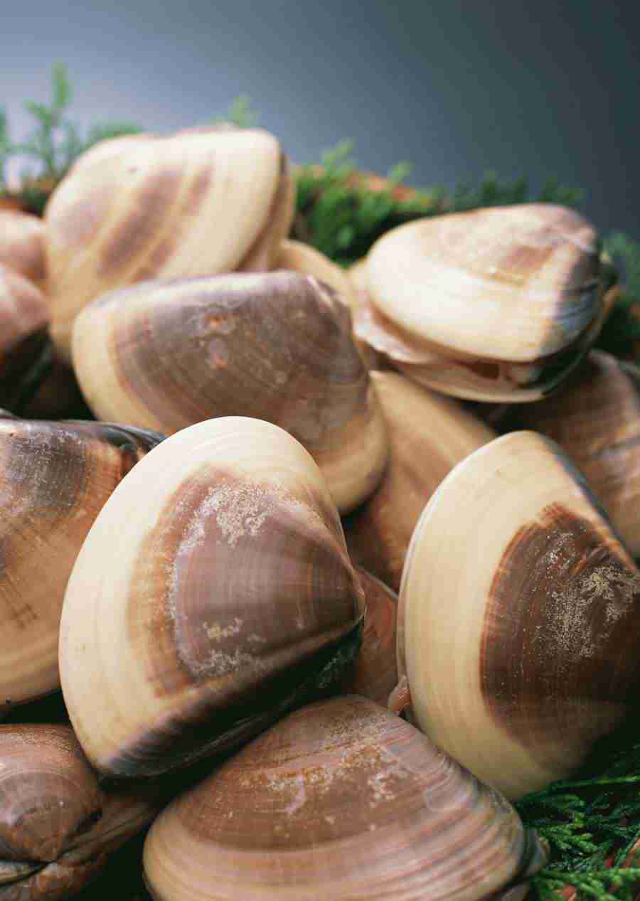 Seasonal Fish and Shellfis - Datacraft Sozaijiten  ></a>
<script language=JavaScript> 
  var txt = 