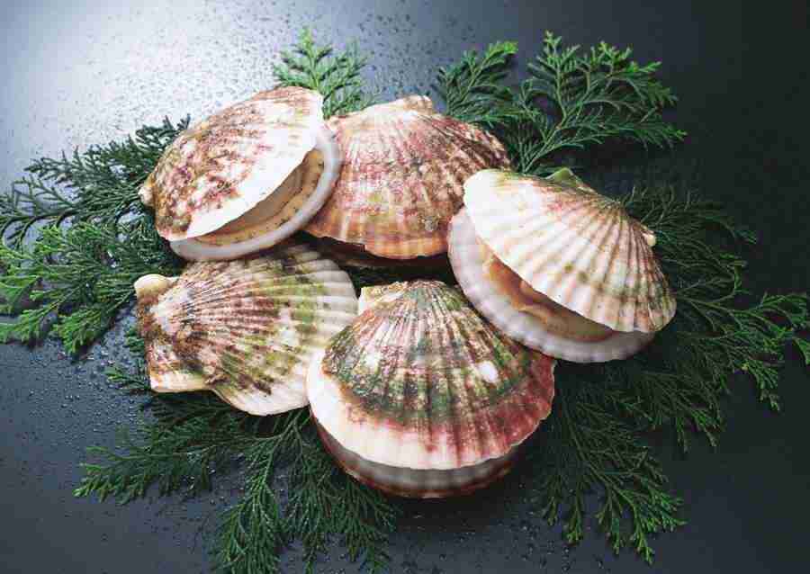 Seasonal Fish and Shellfis - Datacraft Sozaijiten  ></a>
<script language=JavaScript> 
  var txt = 