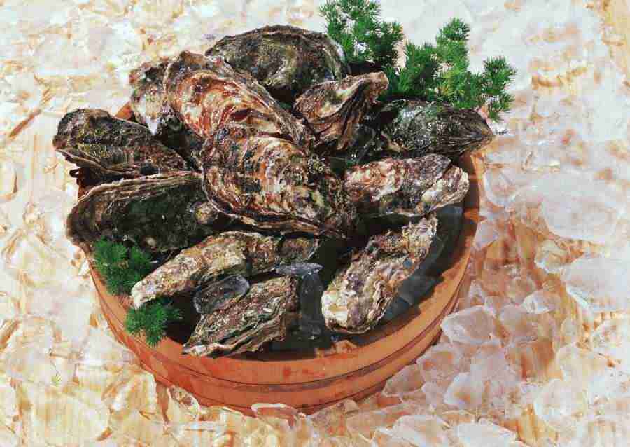 Seasonal Fish and Shellfis - Datacraft Sozaijiten  ></a>
<script language=JavaScript> 
  var txt = 