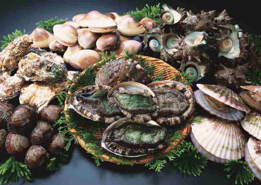 Seasonal Fish and Shellfis - Datacraft Sozaijiten  ></a>
<script language=JavaScript> 
  var txt = 
