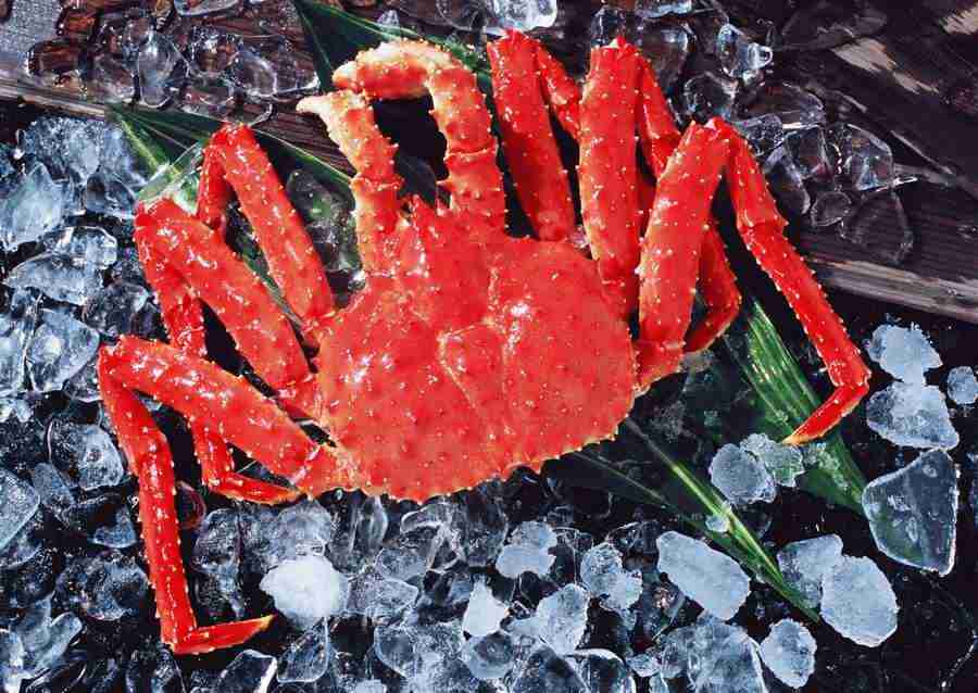 Seasonal Fish and Shellfis - Datacraft Sozaijiten  ></a>
<script language=JavaScript> 
  var txt = 