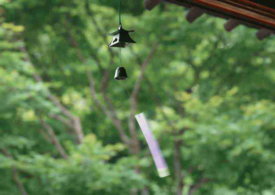 Summer Lifestyles And Nature - Datacraft Sozaijiten  ></a>
<script language=JavaScript> 
  var txt = 