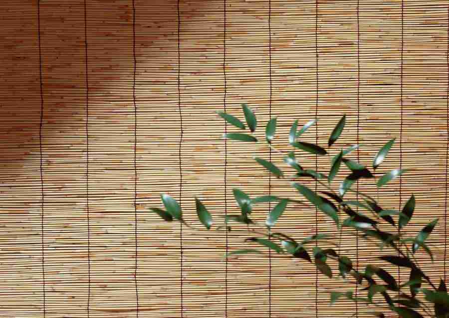 Summer Lifestyles And Nature - Datacraft Sozaijiten  ></a>
<script language=JavaScript> 
  var txt = 