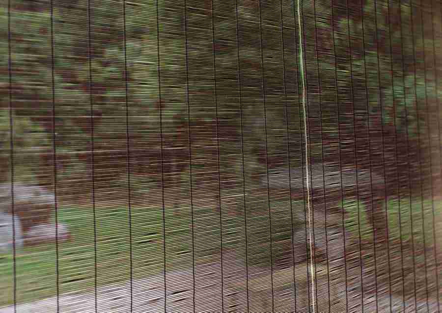 Summer Lifestyles And Nature - Datacraft Sozaijiten  ></a>
<script language=JavaScript> 
  var txt = 