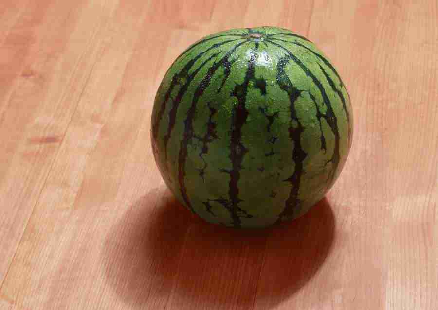 Summer Lifestyles And Nature - Datacraft Sozaijiten  ></a>
<script language=JavaScript> 
  var txt = 