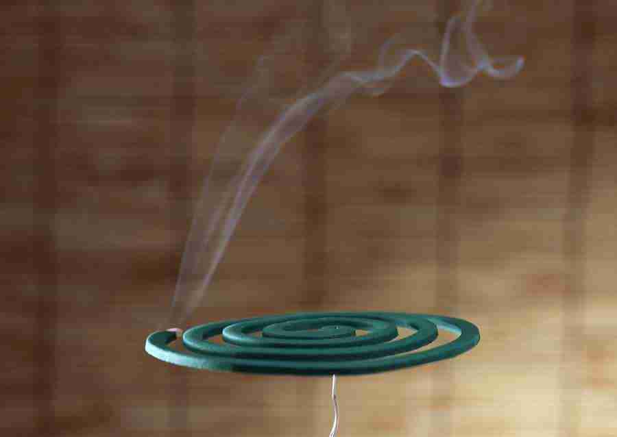 Summer Lifestyles And Nature - Datacraft Sozaijiten  ></a>
<script language=JavaScript> 
  var txt = 