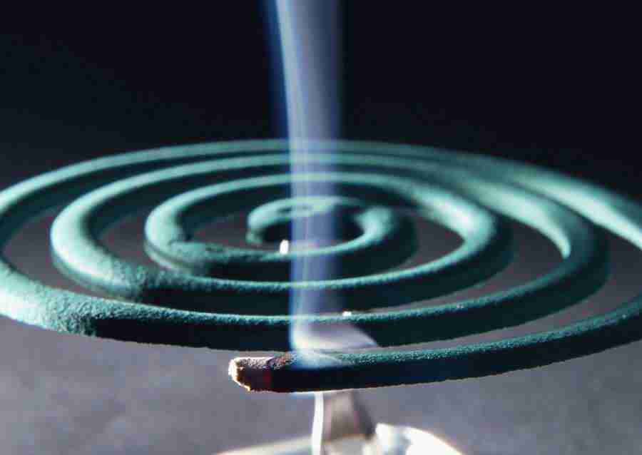 Summer Lifestyles And Nature - Datacraft Sozaijiten  ></a>
<script language=JavaScript> 
  var txt = 