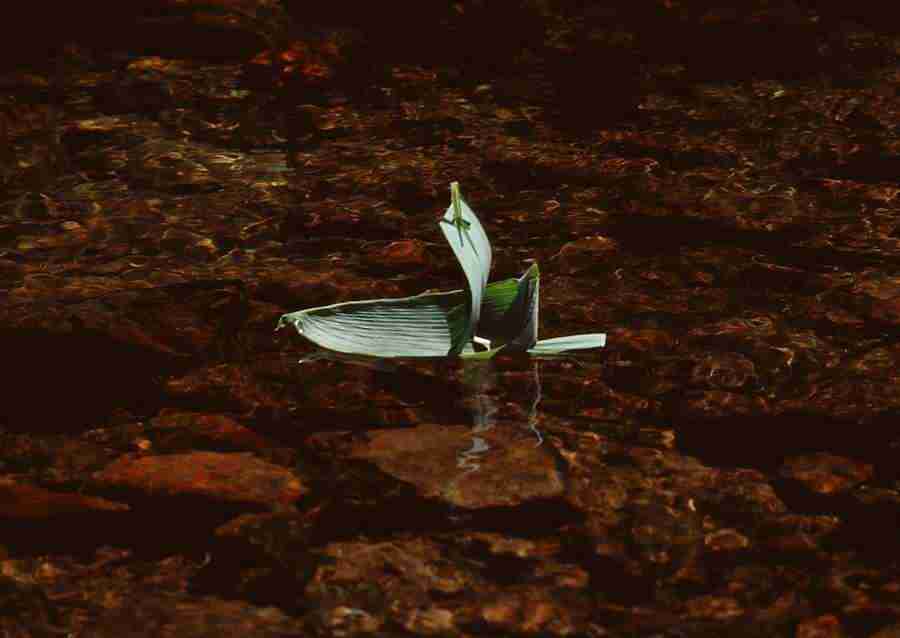 Summer Lifestyles And Nature - Datacraft Sozaijiten  ></a>
<script language=JavaScript> 
  var txt = 