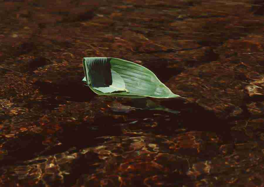 Summer Lifestyles And Nature - Datacraft Sozaijiten  ></a>
<script language=JavaScript> 
  var txt = 