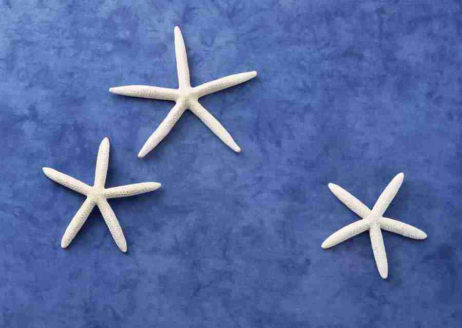 Summer Lifestyles And Nature - Datacraft Sozaijiten  ></a>
<script language=JavaScript> 
  var txt = 