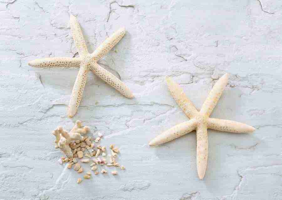 Summer Lifestyles And Nature - Datacraft Sozaijiten  ></a>
<script language=JavaScript> 
  var txt = 