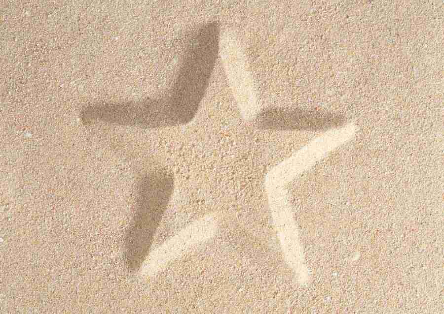 Summer Lifestyles And Nature - Datacraft Sozaijiten  ></a>
<script language=JavaScript> 
  var txt = 