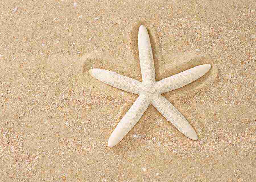 Summer Lifestyles And Nature - Datacraft Sozaijiten  ></a>
<script language=JavaScript> 
  var txt = 