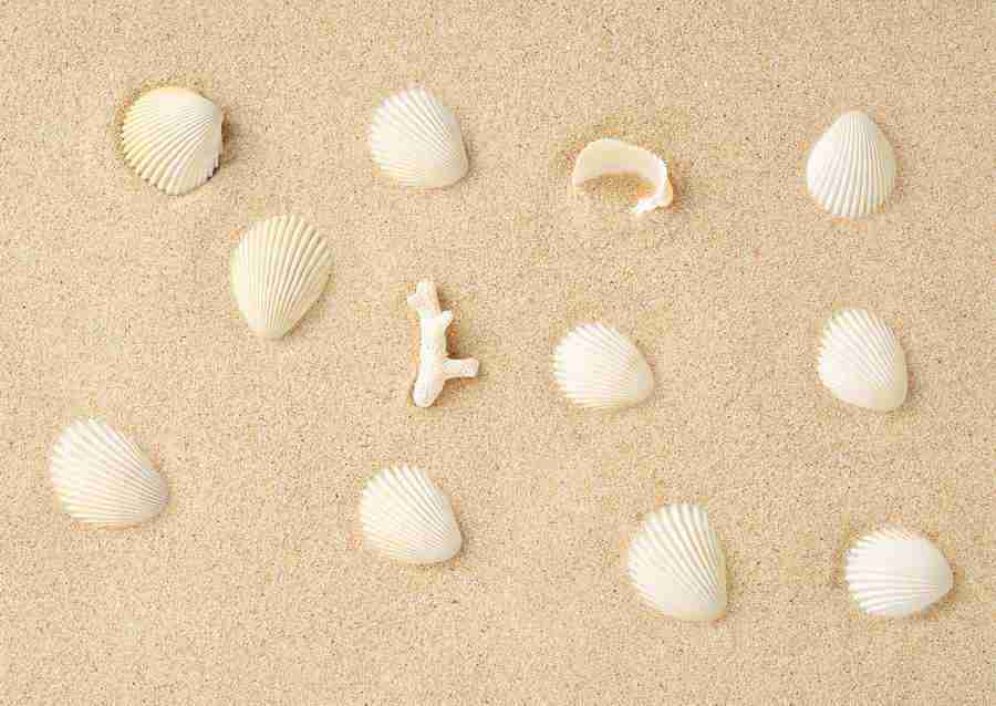 Summer Lifestyles And Nature - Datacraft Sozaijiten  ></a>
<script language=JavaScript> 
  var txt = 