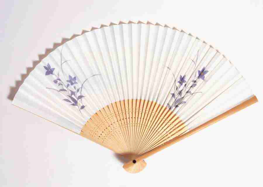 Summer Lifestyles And Nature - Datacraft Sozaijiten  ></a>
<script language=JavaScript> 
  var txt = 