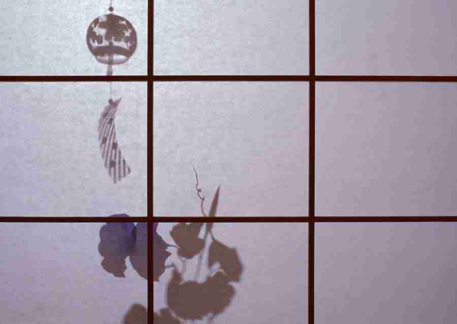 Summer Lifestyles And Nature - Datacraft Sozaijiten  ></a>
<script language=JavaScript> 
  var txt = 