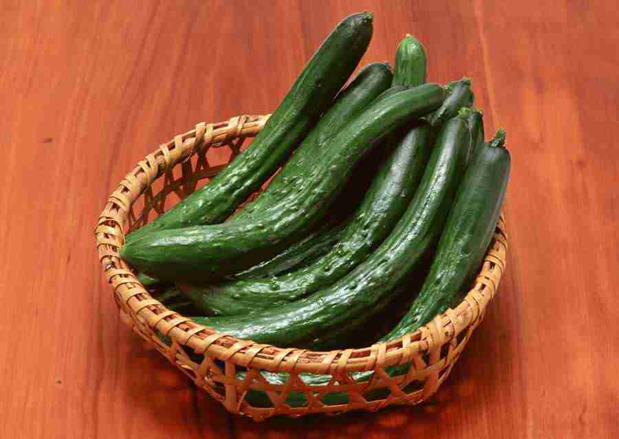 Summer Lifestyles And Nature - Datacraft Sozaijiten  ></a>
<script language=JavaScript> 
  var txt = 