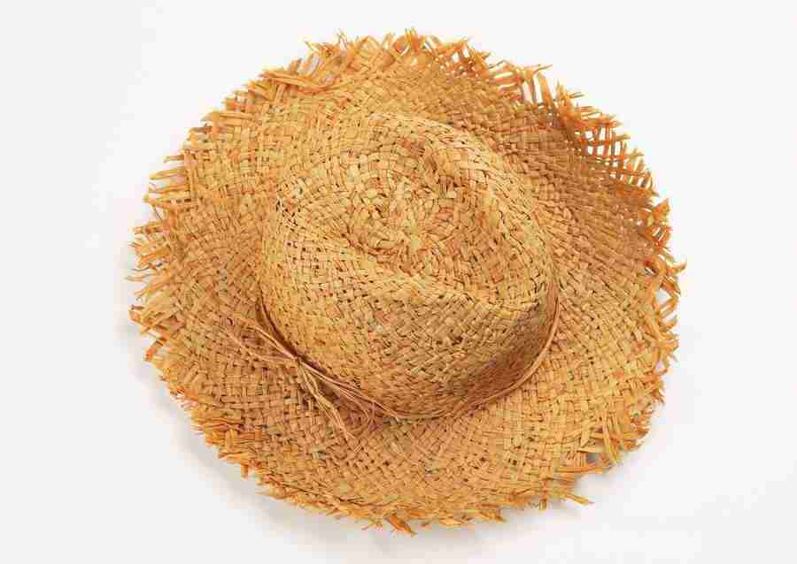 Summer Lifestyles And Nature - Datacraft Sozaijiten  ></a>
<script language=JavaScript> 
  var txt = 