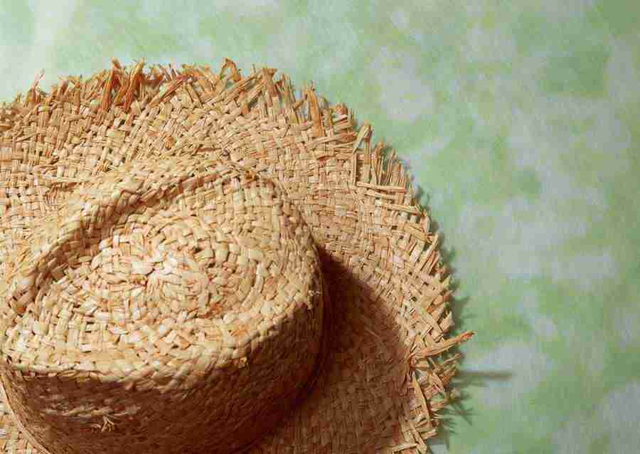 Summer Lifestyles And Nature - Datacraft Sozaijiten  ></a>
<script language=JavaScript> 
  var txt = 