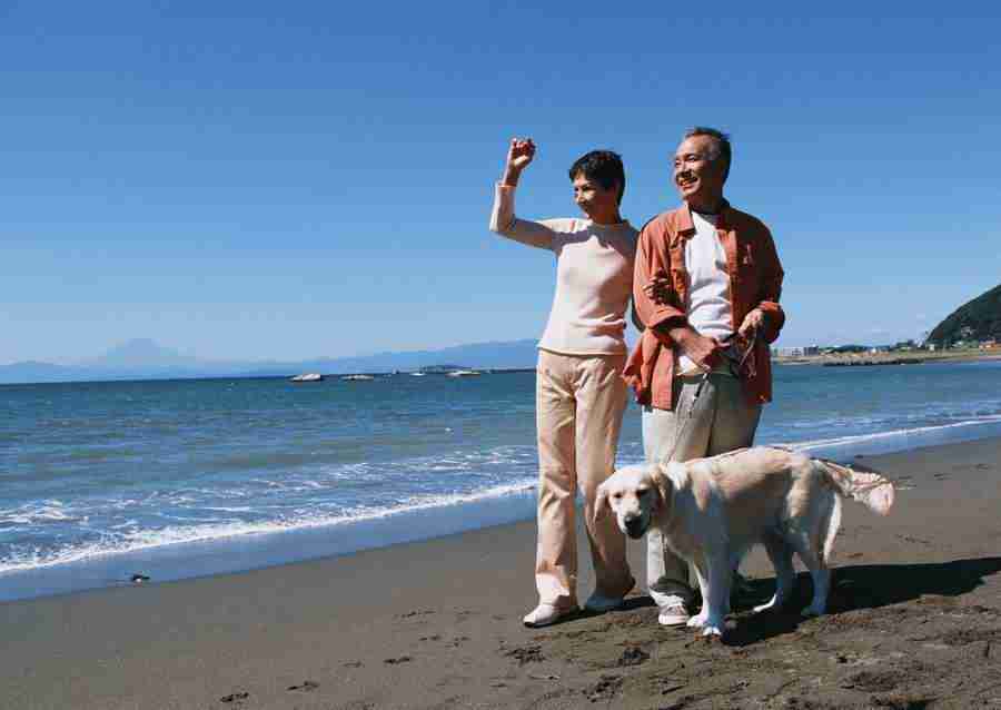 Seniors on Holiday - Datacraft Sozaijiten  ></a>
<script language=JavaScript> 
  var txt = 