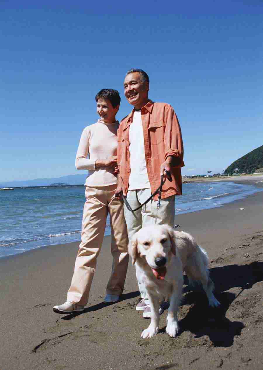 Seniors on Holiday - Datacraft Sozaijiten  ></a>
<script language=JavaScript> 
  var txt = 