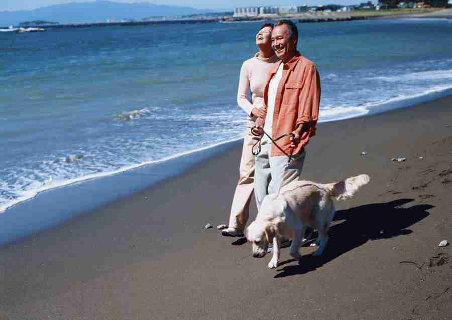 Seniors on Holiday - Datacraft Sozaijiten  ></a>
<script language=JavaScript> 
  var txt = 