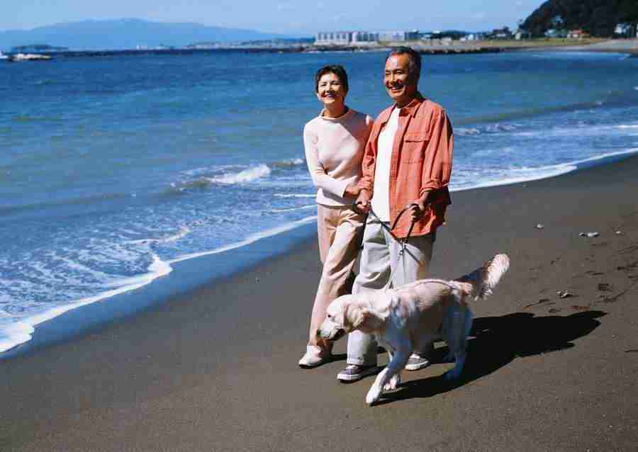 Seniors on Holiday - Datacraft Sozaijiten  ></a>
<script language=JavaScript> 
  var txt = 