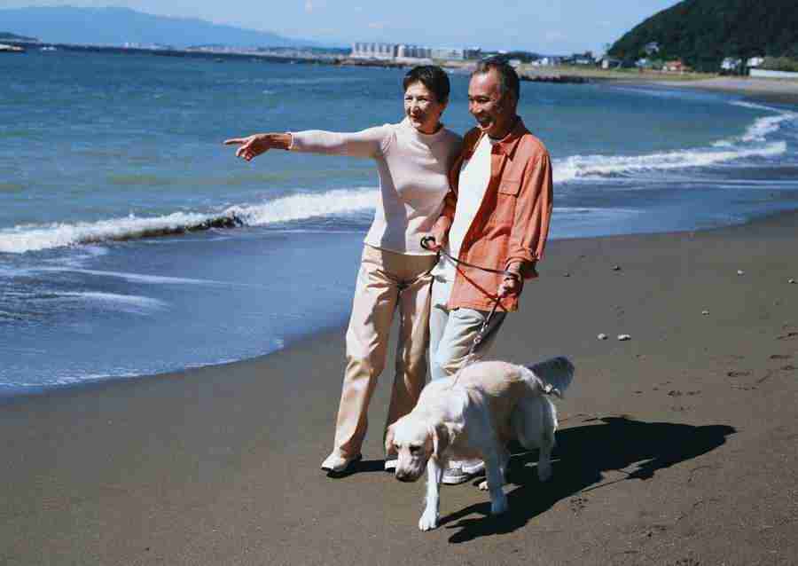 Seniors on Holiday - Datacraft Sozaijiten  ></a>
<script language=JavaScript> 
  var txt = 