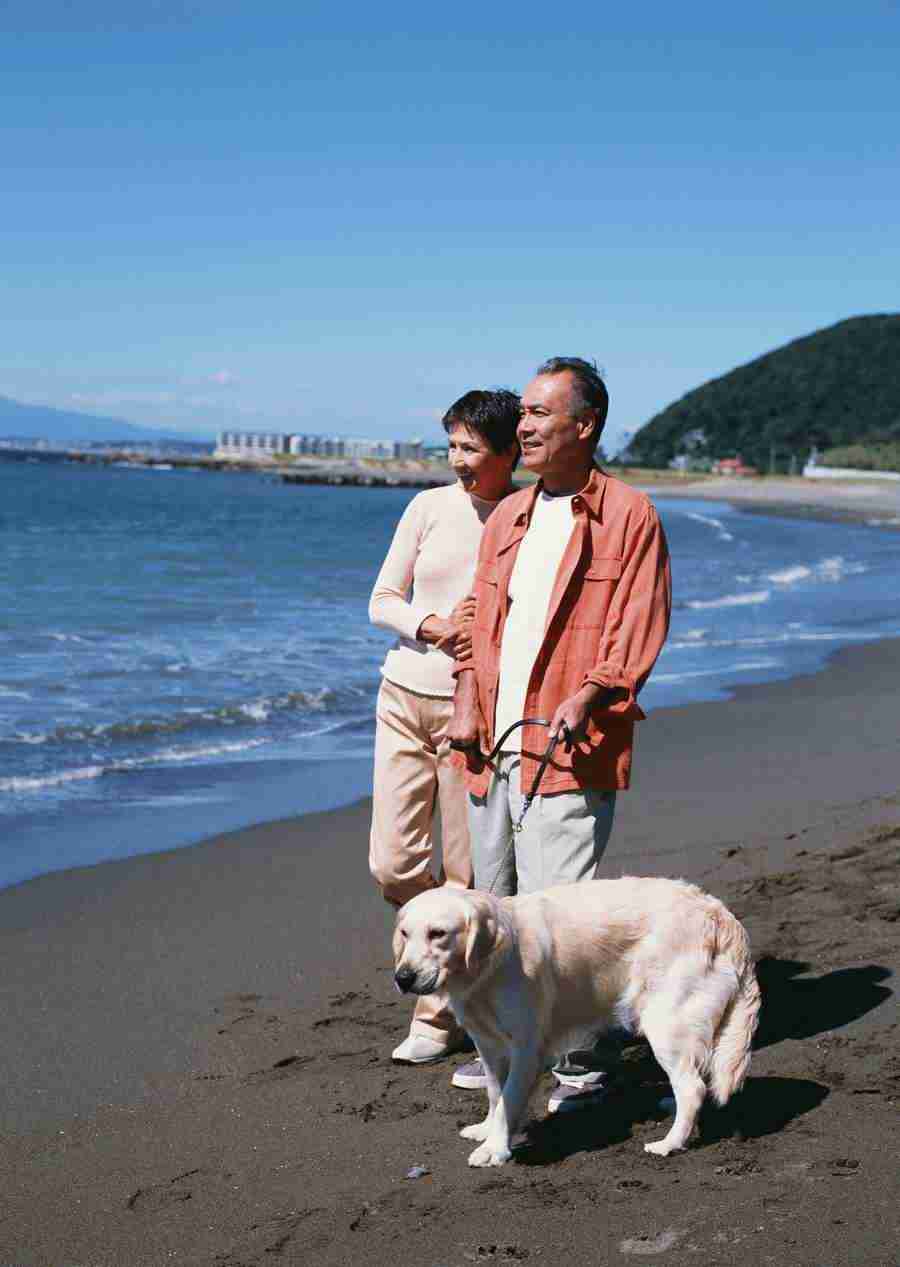 Seniors on Holiday - Datacraft Sozaijiten  ></a>
<script language=JavaScript> 
  var txt = 