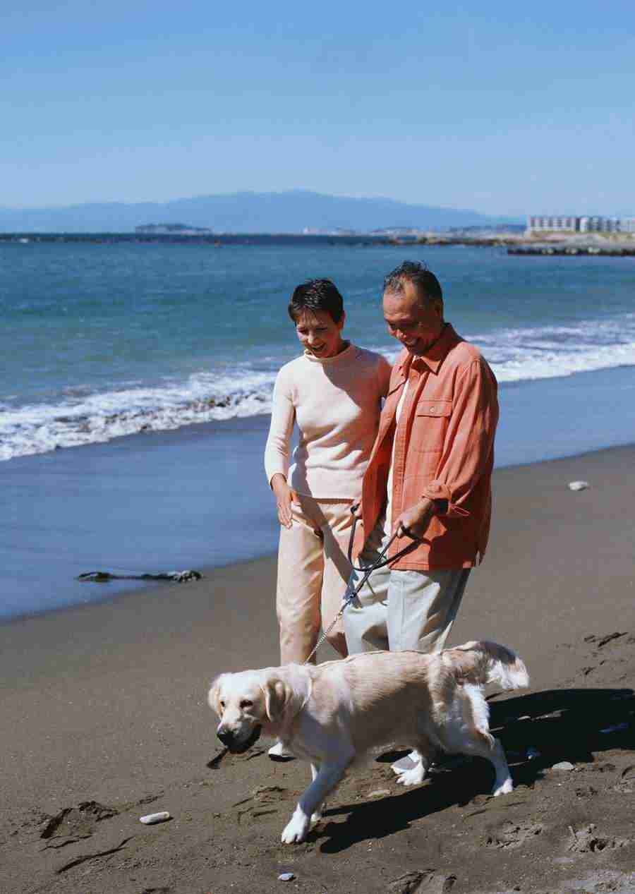 Seniors on Holiday - Datacraft Sozaijiten  ></a>
<script language=JavaScript> 
  var txt = 