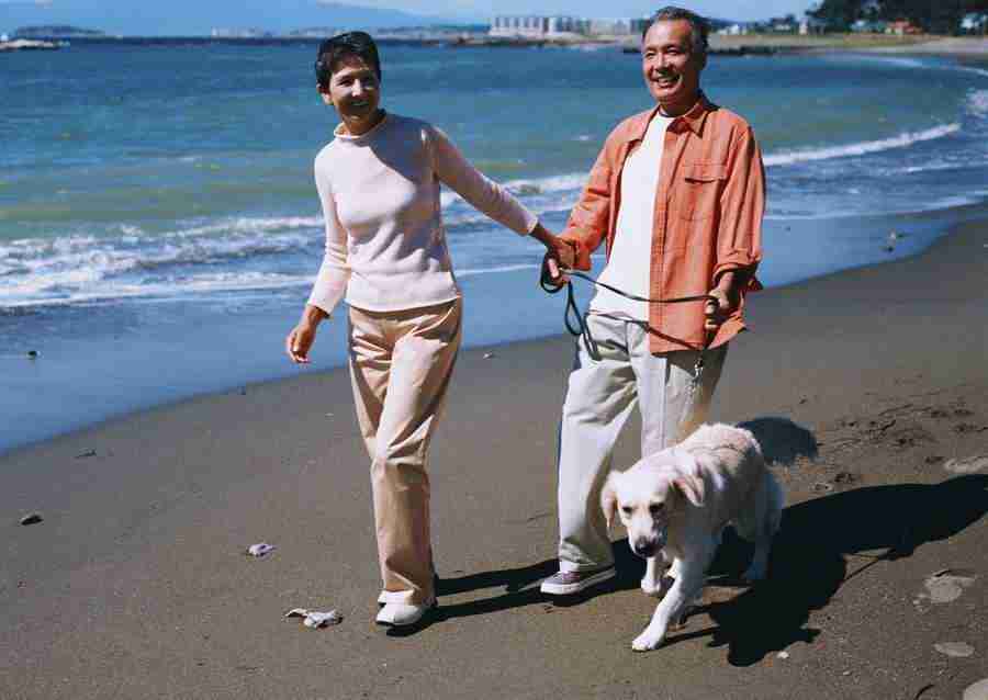 Seniors on Holiday - Datacraft Sozaijiten  ></a>
<script language=JavaScript> 
  var txt = 