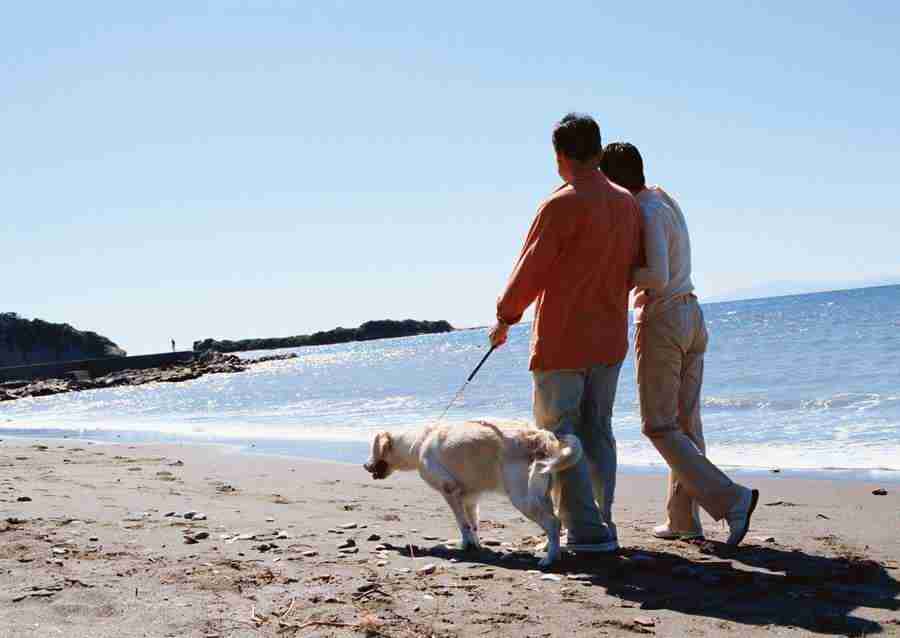 Seniors on Holiday - Datacraft Sozaijiten  ></a>
<script language=JavaScript> 
  var txt = 