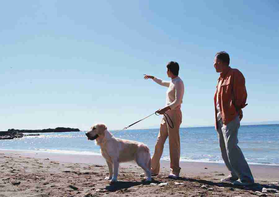 Seniors on Holiday - Datacraft Sozaijiten  ></a>
<script language=JavaScript> 
  var txt = 