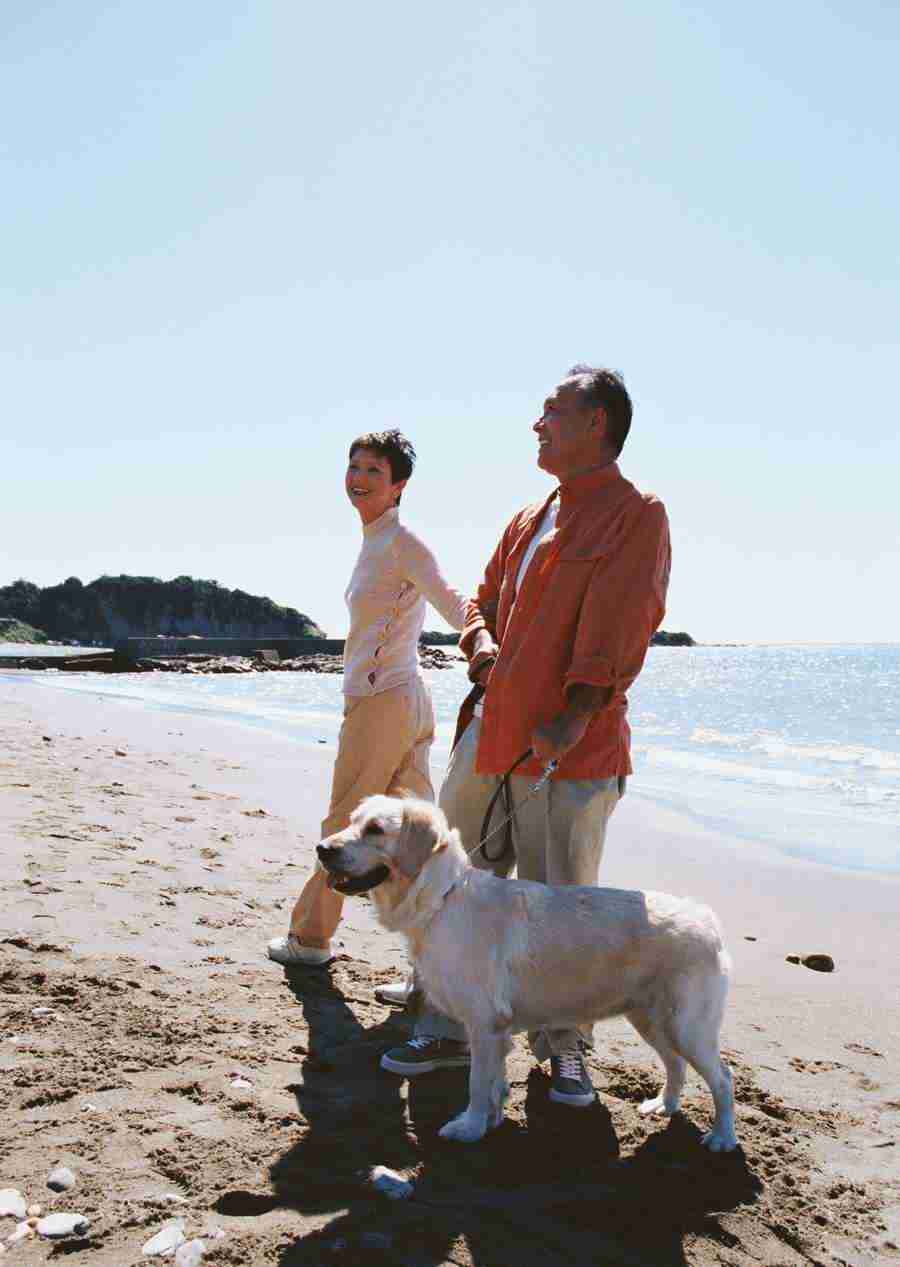 Seniors on Holiday - Datacraft Sozaijiten  ></a>
<script language=JavaScript> 
  var txt = 