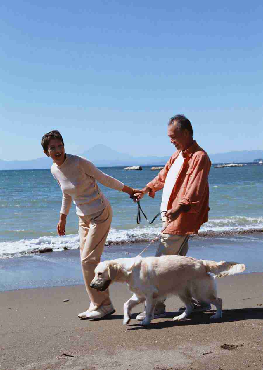 Seniors on Holiday - Datacraft Sozaijiten  ></a>
<script language=JavaScript> 
  var txt = 