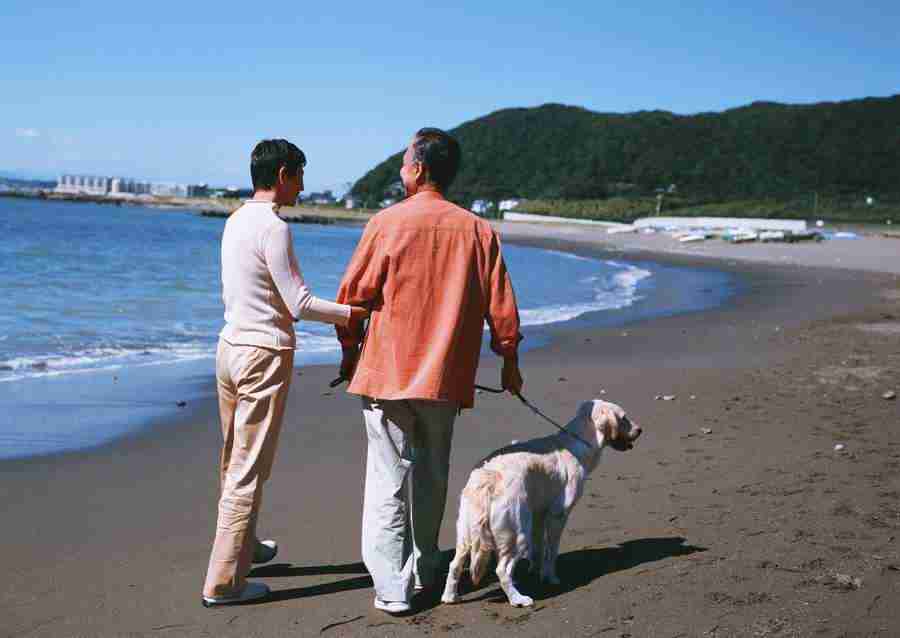 Seniors on Holiday - Datacraft Sozaijiten  ></a>
<script language=JavaScript> 
  var txt = 