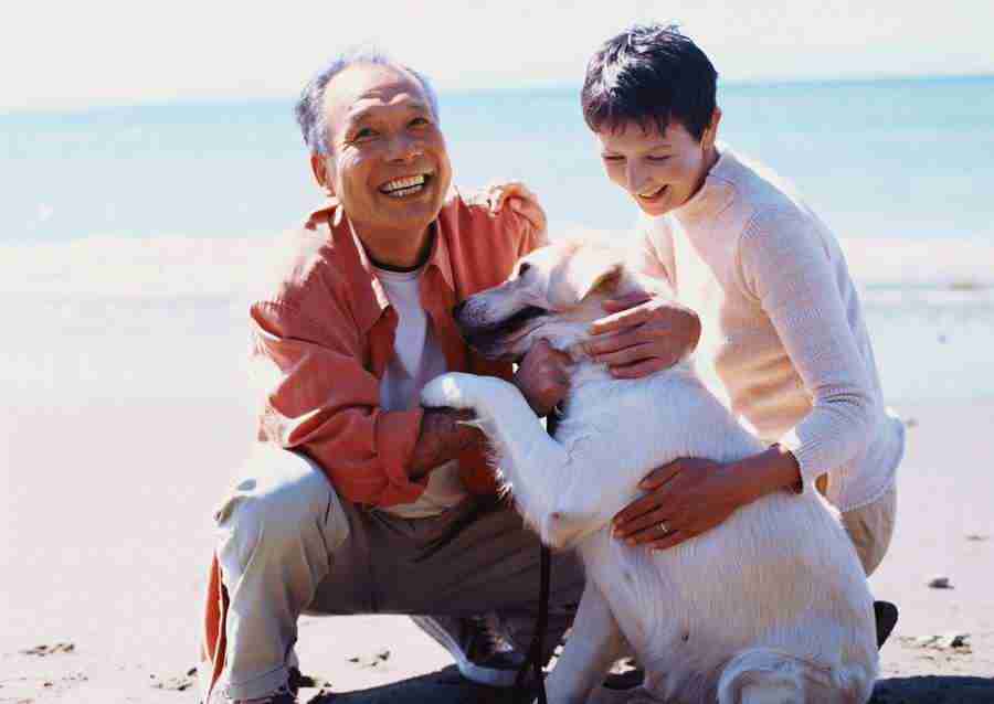 Seniors on Holiday - Datacraft Sozaijiten  ></a>
<script language=JavaScript> 
  var txt = 