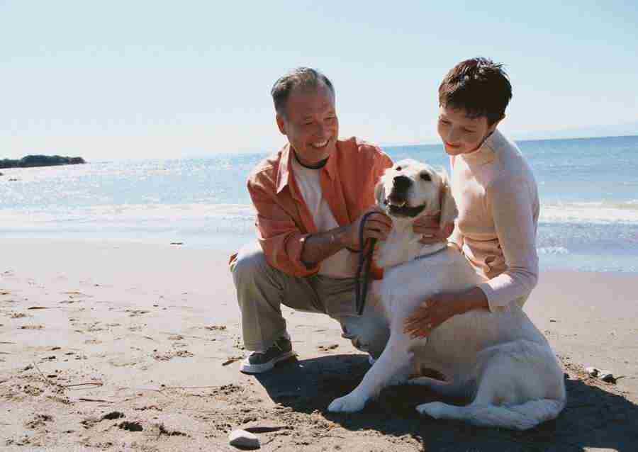 Seniors on Holiday - Datacraft Sozaijiten  ></a>
<script language=JavaScript> 
  var txt = 