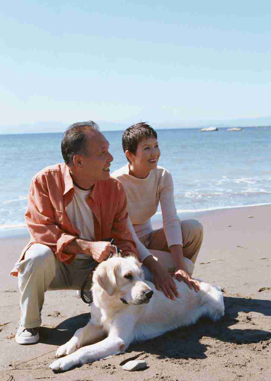 Seniors on Holiday - Datacraft Sozaijiten  ></a>
<script language=JavaScript> 
  var txt = 