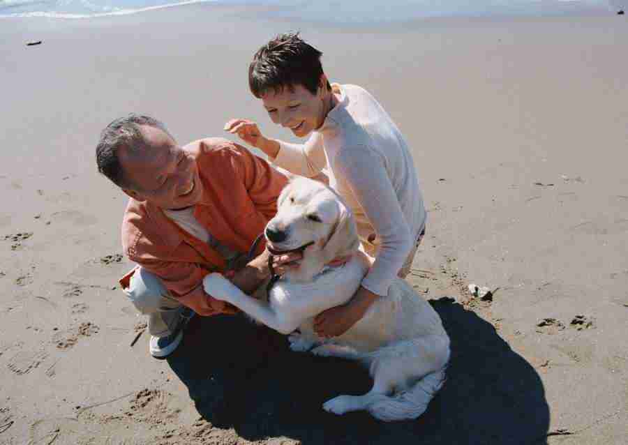 Seniors on Holiday - Datacraft Sozaijiten  ></a>
<script language=JavaScript> 
  var txt = 