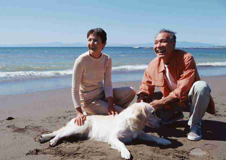 Seniors on Holiday - Datacraft Sozaijiten  ></a>
<script language=JavaScript> 
  var txt = 