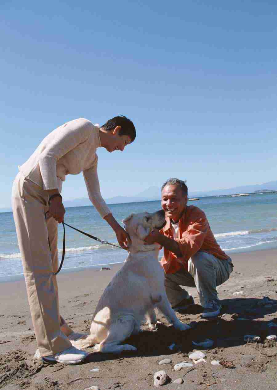 Seniors on Holiday - Datacraft Sozaijiten  ></a>
<script language=JavaScript> 
  var txt = 