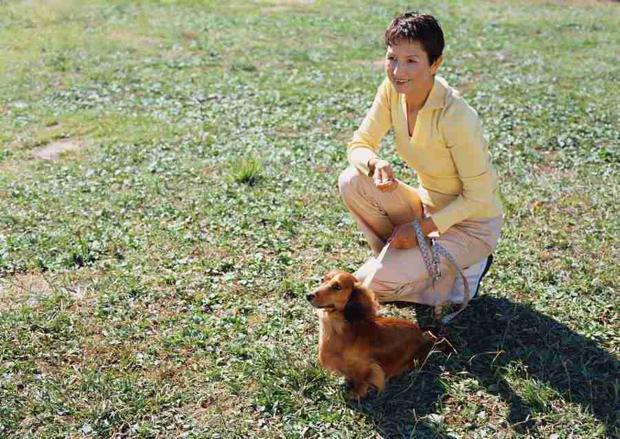 Seniors on Holiday - Datacraft Sozaijiten  ></a>
<script language=JavaScript> 
  var txt = 