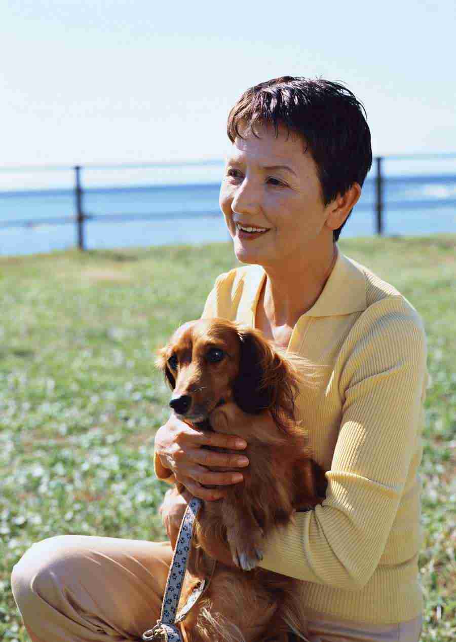 Seniors on Holiday - Datacraft Sozaijiten  ></a>
<script language=JavaScript> 
  var txt = 