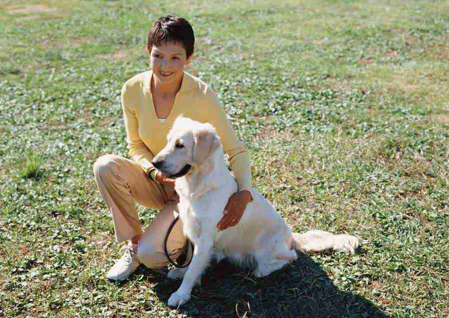 Seniors on Holiday - Datacraft Sozaijiten  ></a>
<script language=JavaScript> 
  var txt = 